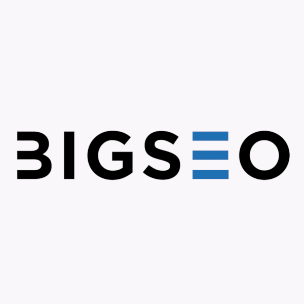 Bigseo logo